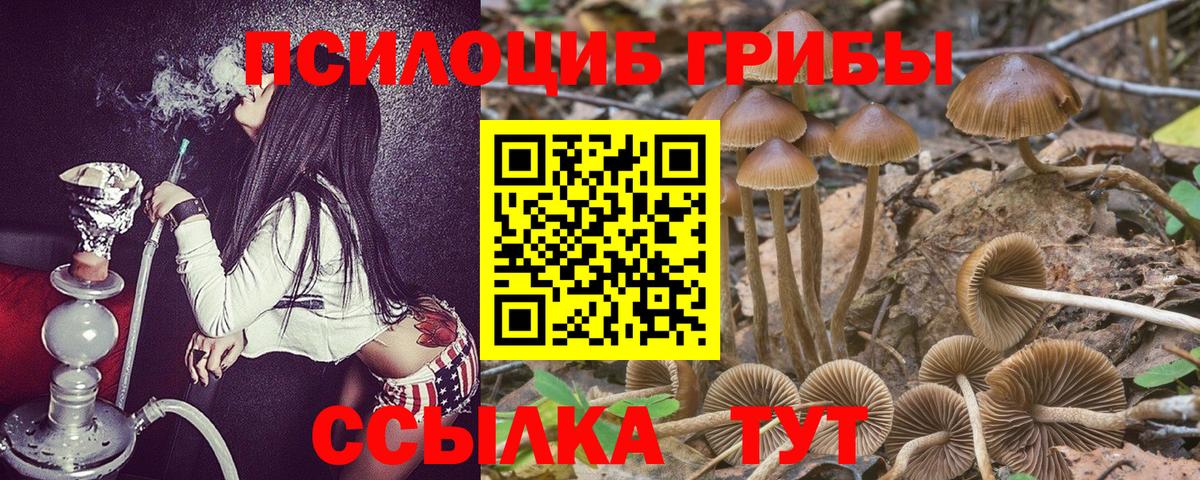 Псилоцибиновые грибы GOLDEN TEACHER Коммунар