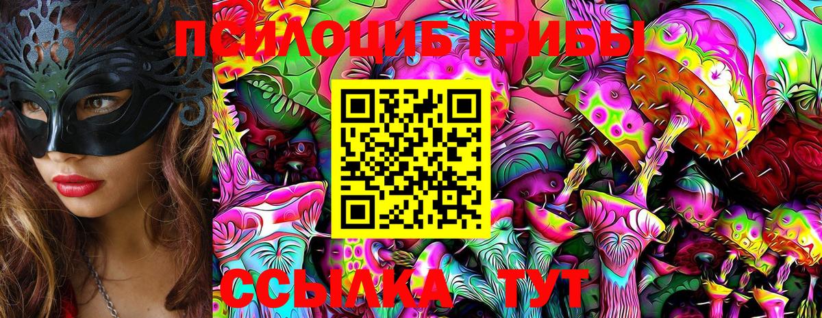 Галлюциногенные грибы MAGIC MUSHROOMS  Вход с VPN  Коммунар 